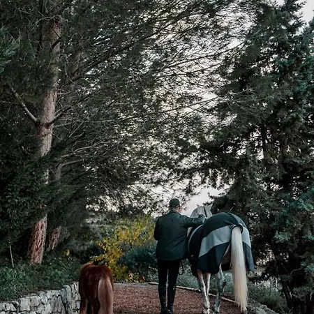 Farma Rocca Dei Saraceni Regalbuto