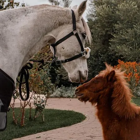 Farma Rocca Dei Saraceni