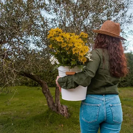 Farma Rocca Dei Saraceni Regalbuto