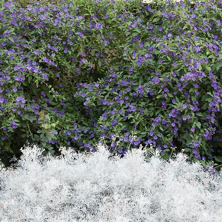 Farma Rocca Dei Saraceni Regalbuto